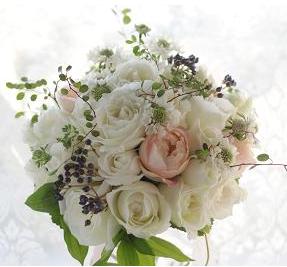 �T���~�Z�b�g