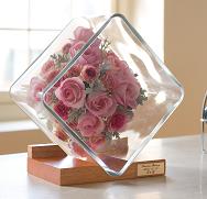 �h���C���H