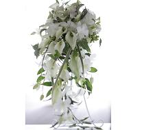 �v�P�J���[�@���C���@�L���X�P�[�h