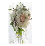 �v�Q���E���h �o�����C���@�Q�F