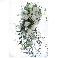 �v�T���o���@���C���@�L���X�P�[�h�@���C���[�v�����c����