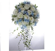 �v�U���o���@���C���@���E���h�@�u���[�X�^�[����