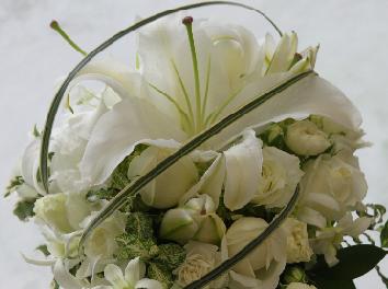 �v�V�J�T�u�����J�@���C���@�I�[�o��