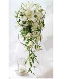 �v�W�J�T�u�����J�@���C���@�L���X�P�[�h�@�~�X�J���T�X����