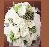 �v�X�o���@���C���@���E���h